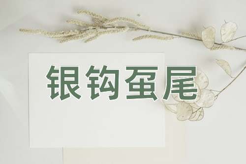 成语银钩虿尾