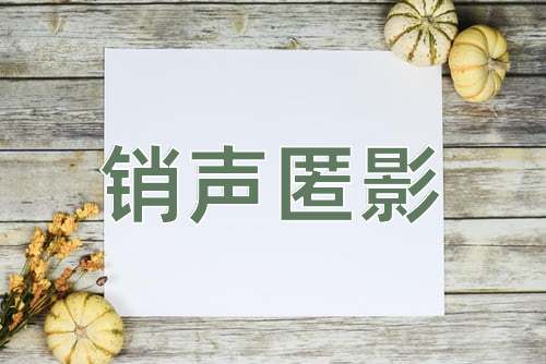 成语销声匿影
