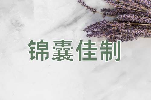 成语锦囊佳制