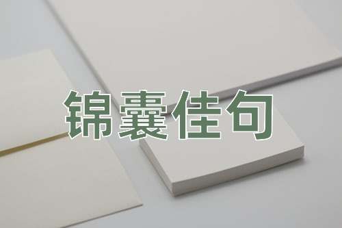 成语锦囊佳句