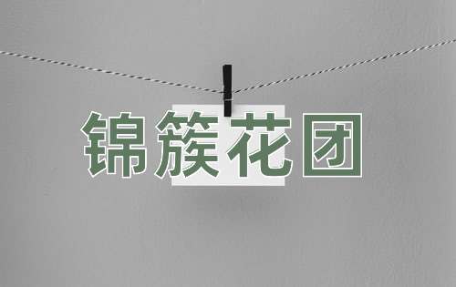 成语锦簇花团