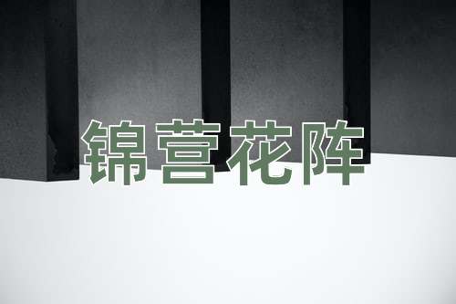 成语锦营花阵