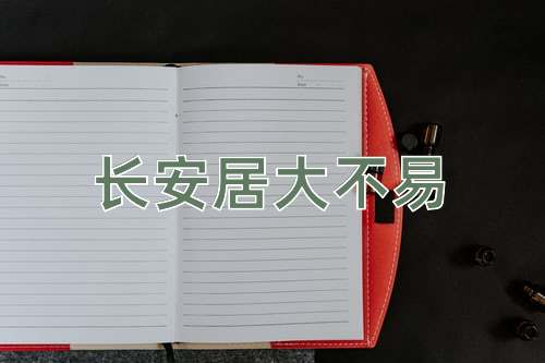 成语长安居大不易