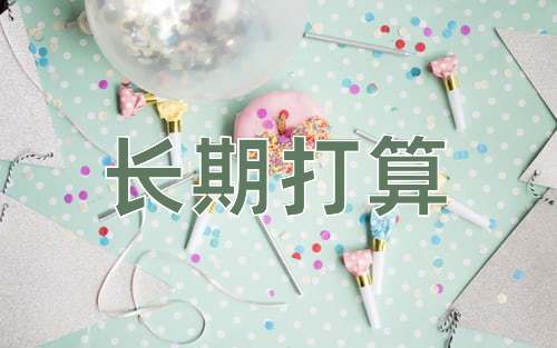 成语长期打算