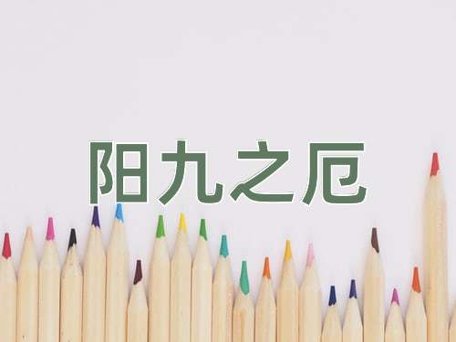 成语阳九之厄