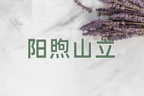 成语阳煦山立