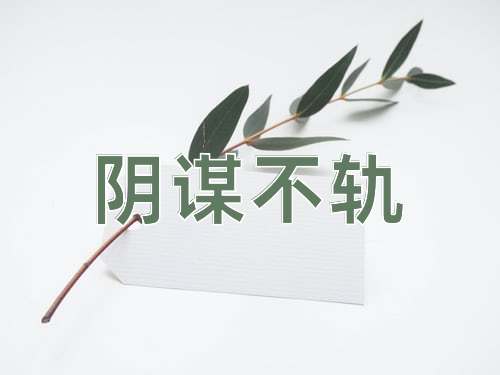 成语阴谋不轨
