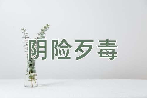 成语阴险歹毒