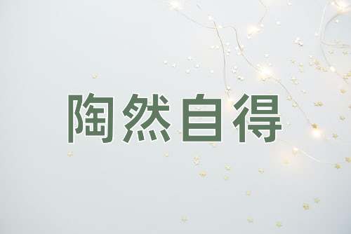 成语陶然自得