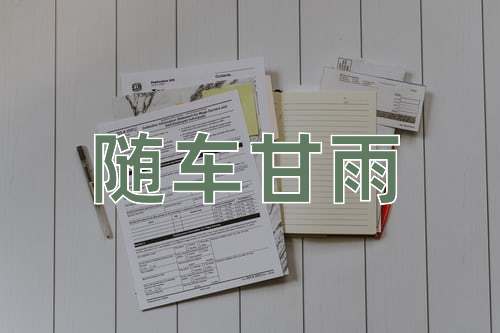 成语随车甘雨