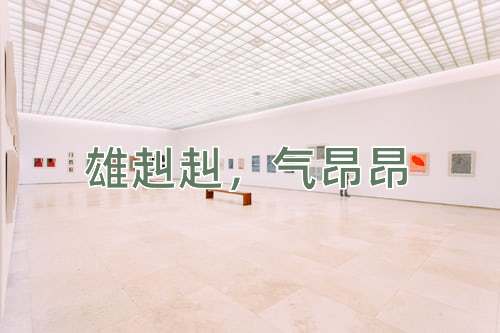 成语雄赳赳，气昂昂