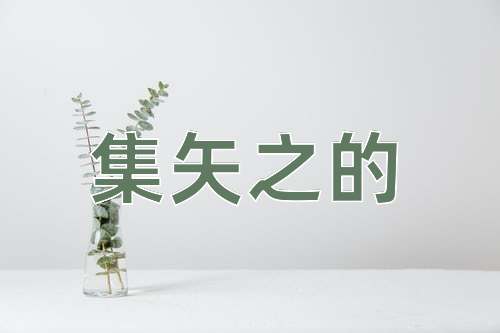 成语集矢之的