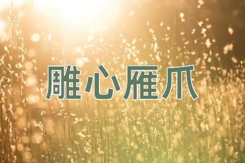成语雕心雁爪