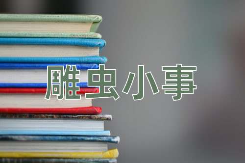 成语雕虫小事