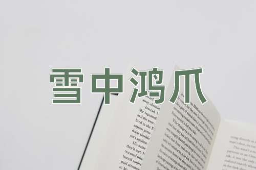 成语雪中鸿爪