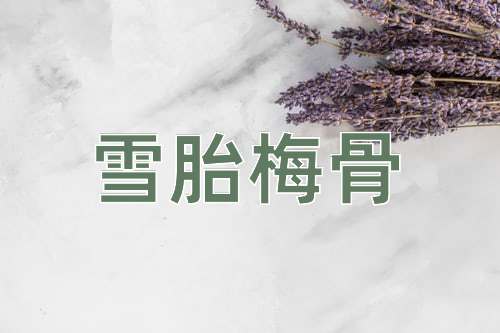 成语雪胎梅骨