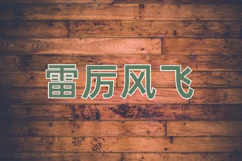 成语雷厉风飞