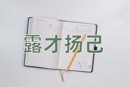 成语露才扬己