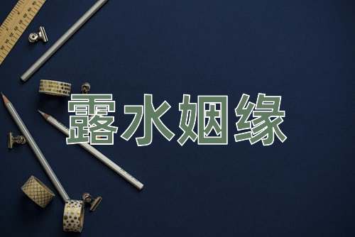 成语露水姻缘