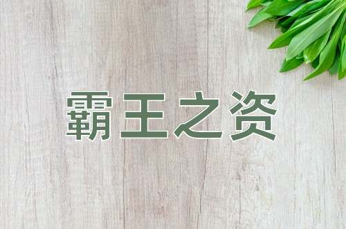 成语霸王之资
