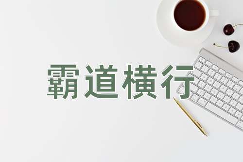 成语霸道横行