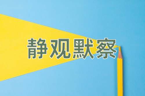 成语静观默察