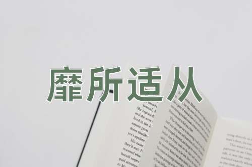 成语靡所适从