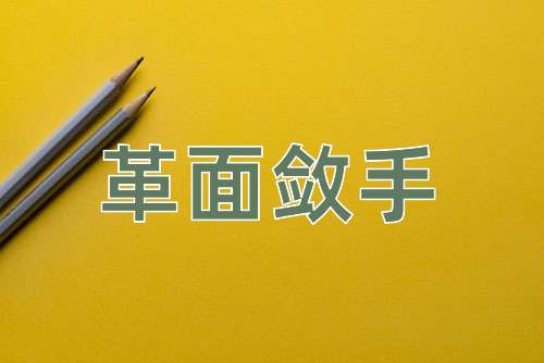 成语革面敛手