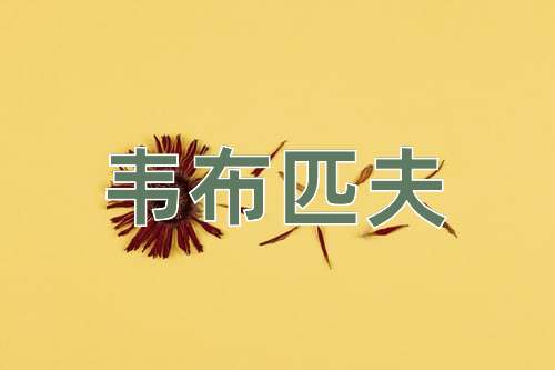 成语韦布匹夫