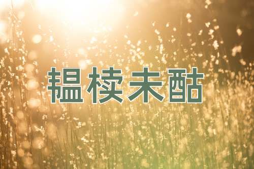 成语韫椟未酤