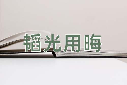 成语韬光用晦