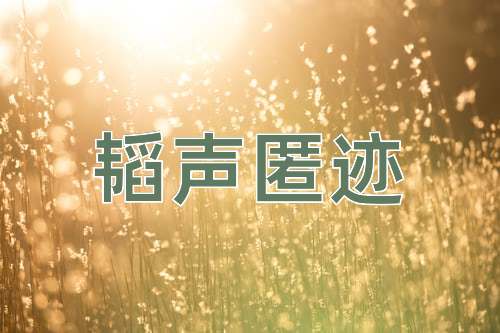 成语韬声匿迹