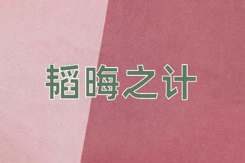 成语韬晦之计