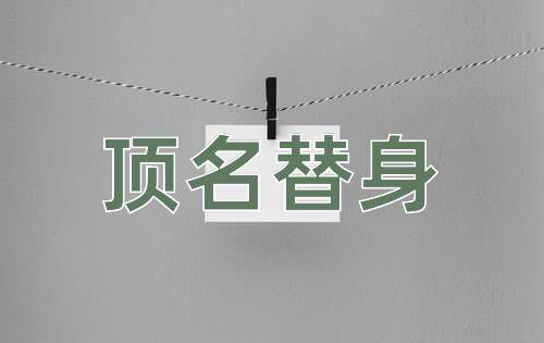 成语顶名替身