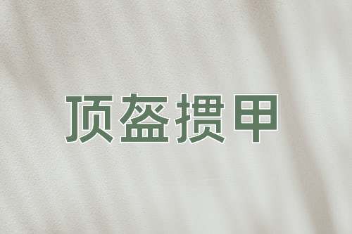 成语顶盔掼甲