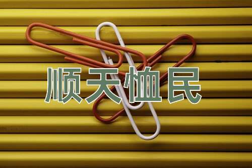 成语顺天恤民