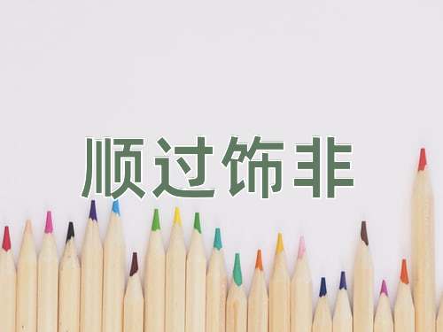 成语顺过饰非