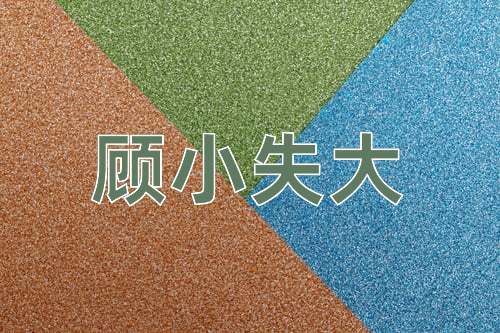 成语顾小失大