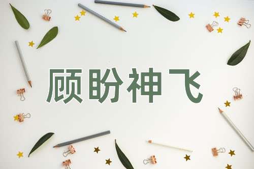 成语顾盼神飞