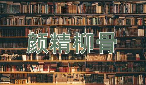成语颜精柳骨