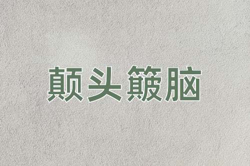 成语颠头簸脑