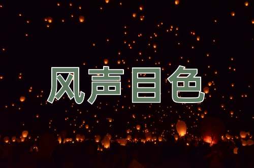 成语风声目色