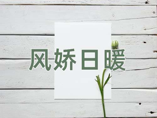 成语风娇日暖
