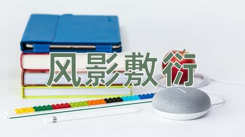 成语风影敷衍