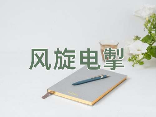 成语风旋电掣