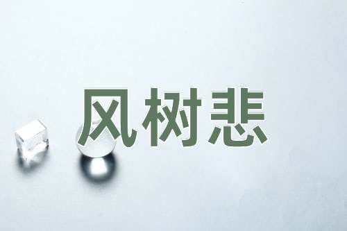 成语风树悲