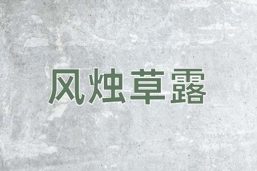成语风烛草露