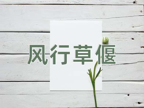 成语风行草偃