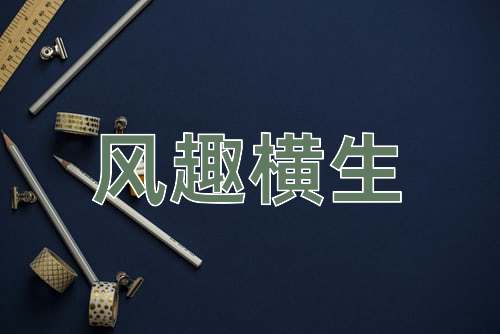 成语风趣横生