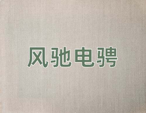 成语风驰电骋